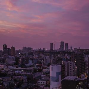 青青插91激情视频
