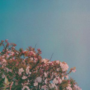 青青插91激情视频
